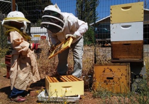 Essential Beekeeping Equipment for Sacramento, CA