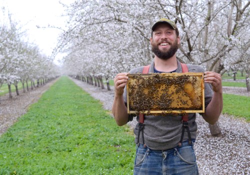 When is the Best Time to Start Beekeeping in Sacramento, CA?